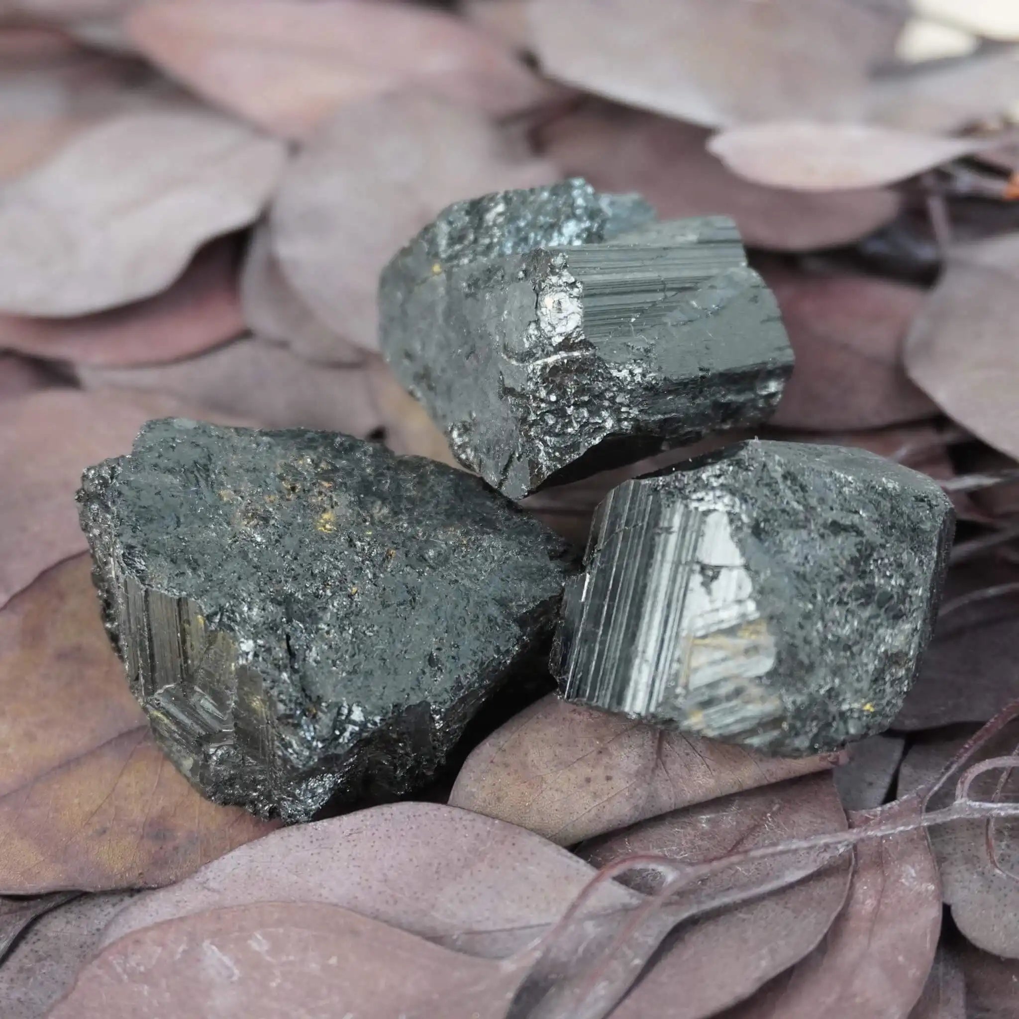 Drei schwarze Turmalin Rohsteine auf violetten Blättern arrangiert