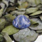 Sodalith Trommelstein auf grünen Blättern natürlich dekoriert