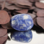 Sodalith Trommelstein auf Spiegel mit Reflexion und braunen Blättern