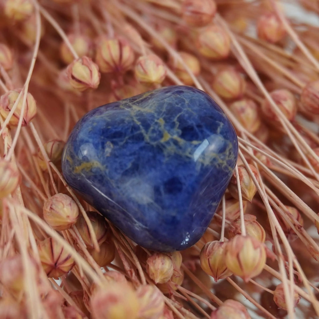 Sodalith Trommelstein auf rosafarbenen Trockenblumen im Nahaufnahme-Detail