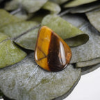 Tigerauge Trommelstein mit deutlicher Dunkelhell-Bänderung auf grünen Blättern