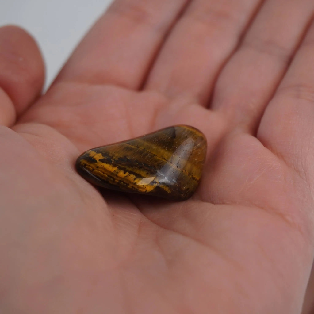 Tigerauge Trommelstein in einer Hand gehalten