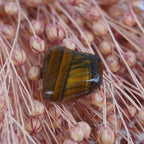 Tigerauge Trommelstein mit kräftiger Bänderung auf rosafarbenen Trockenblumen