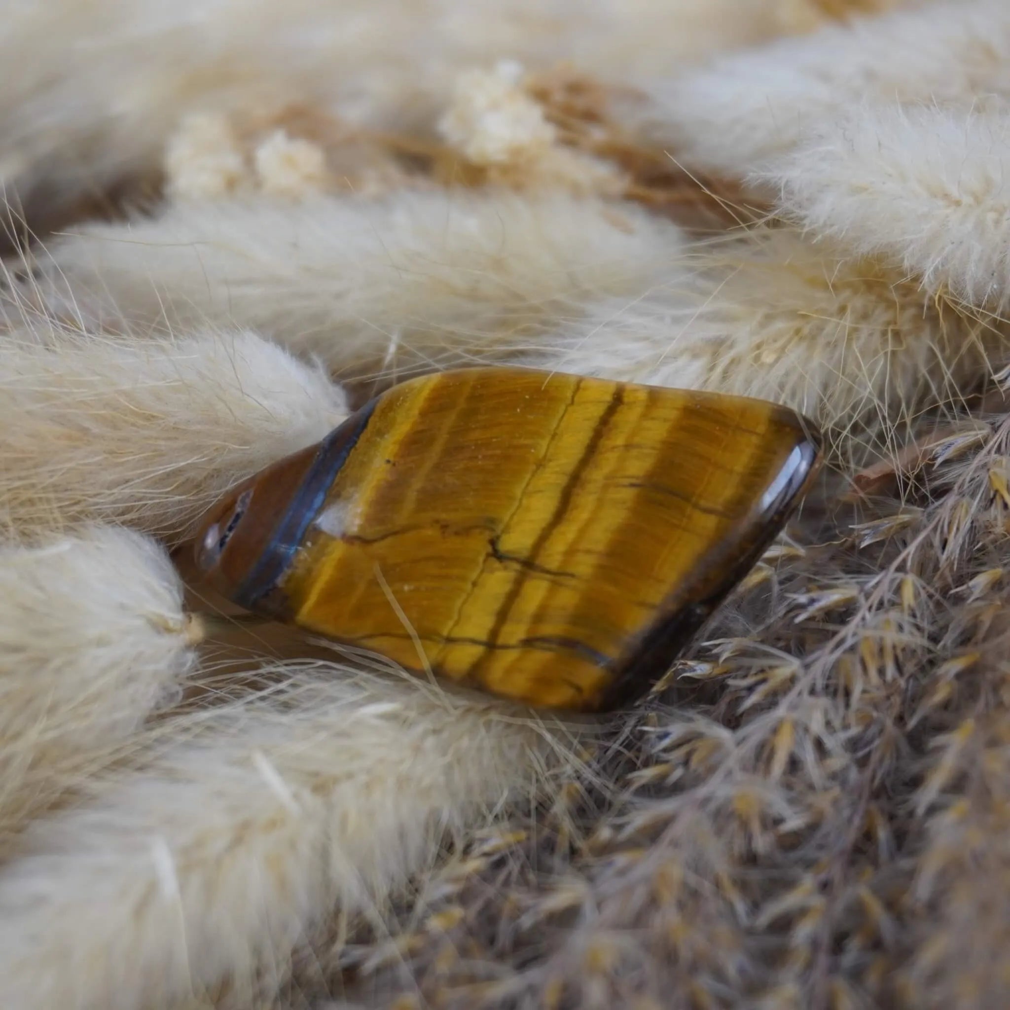 Tigerauge Trommelstein auf beigen Trockenblumen in warmer Nahaufnahme