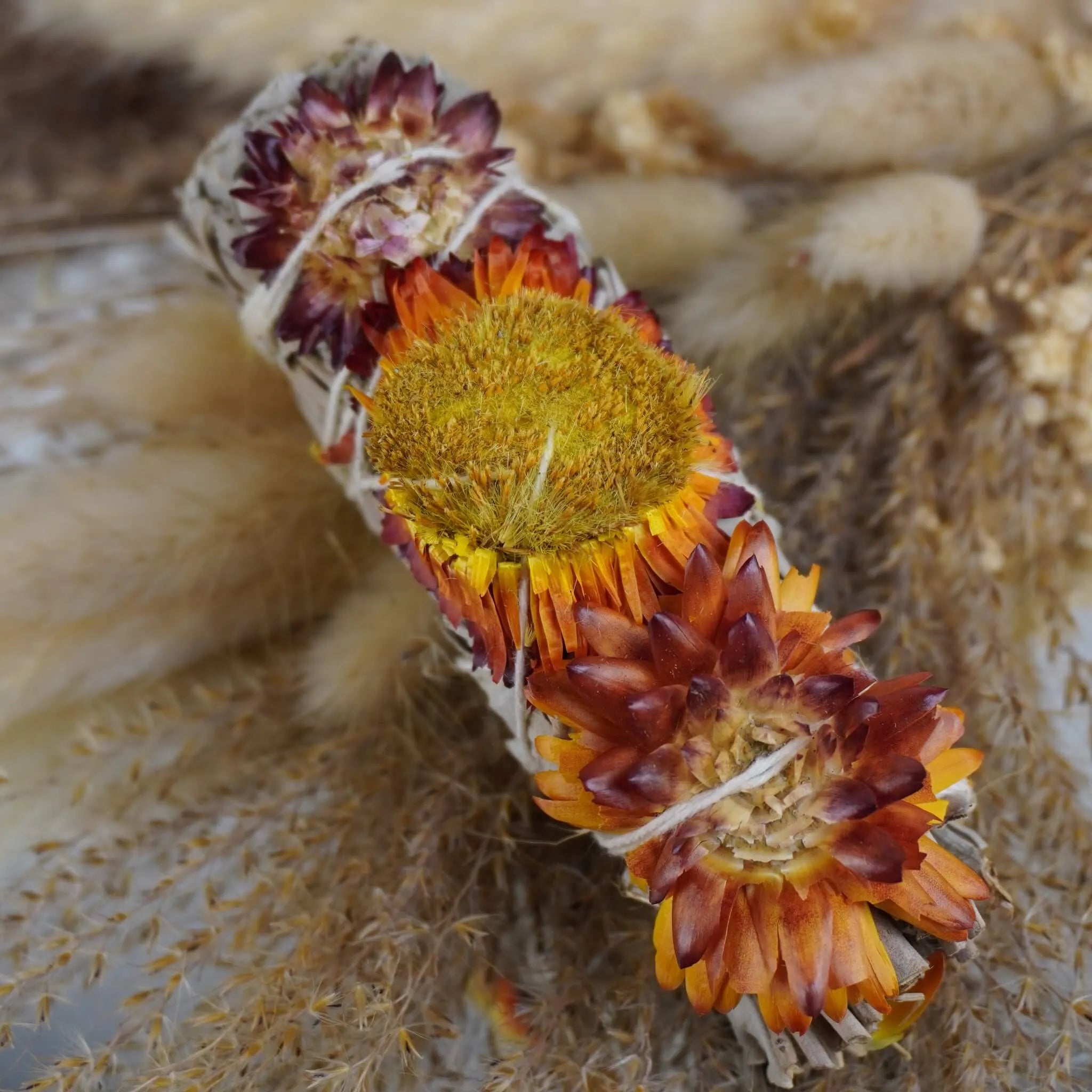 Weißer Salbei Räucherbündel mit orangegelben Blüten auf beigen Ziergräsern