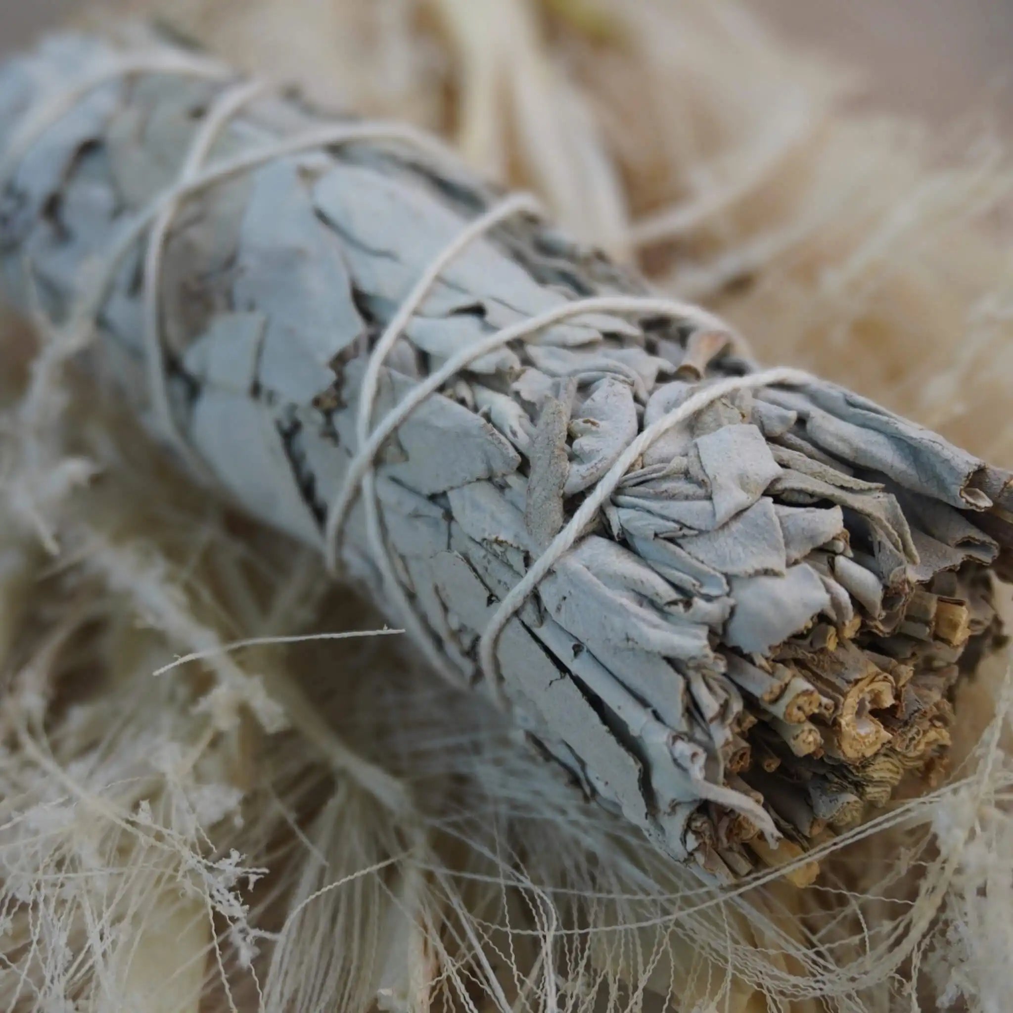 Weißer Salbei Smudge Stick auf naturfarbenem Trockenmaterial
