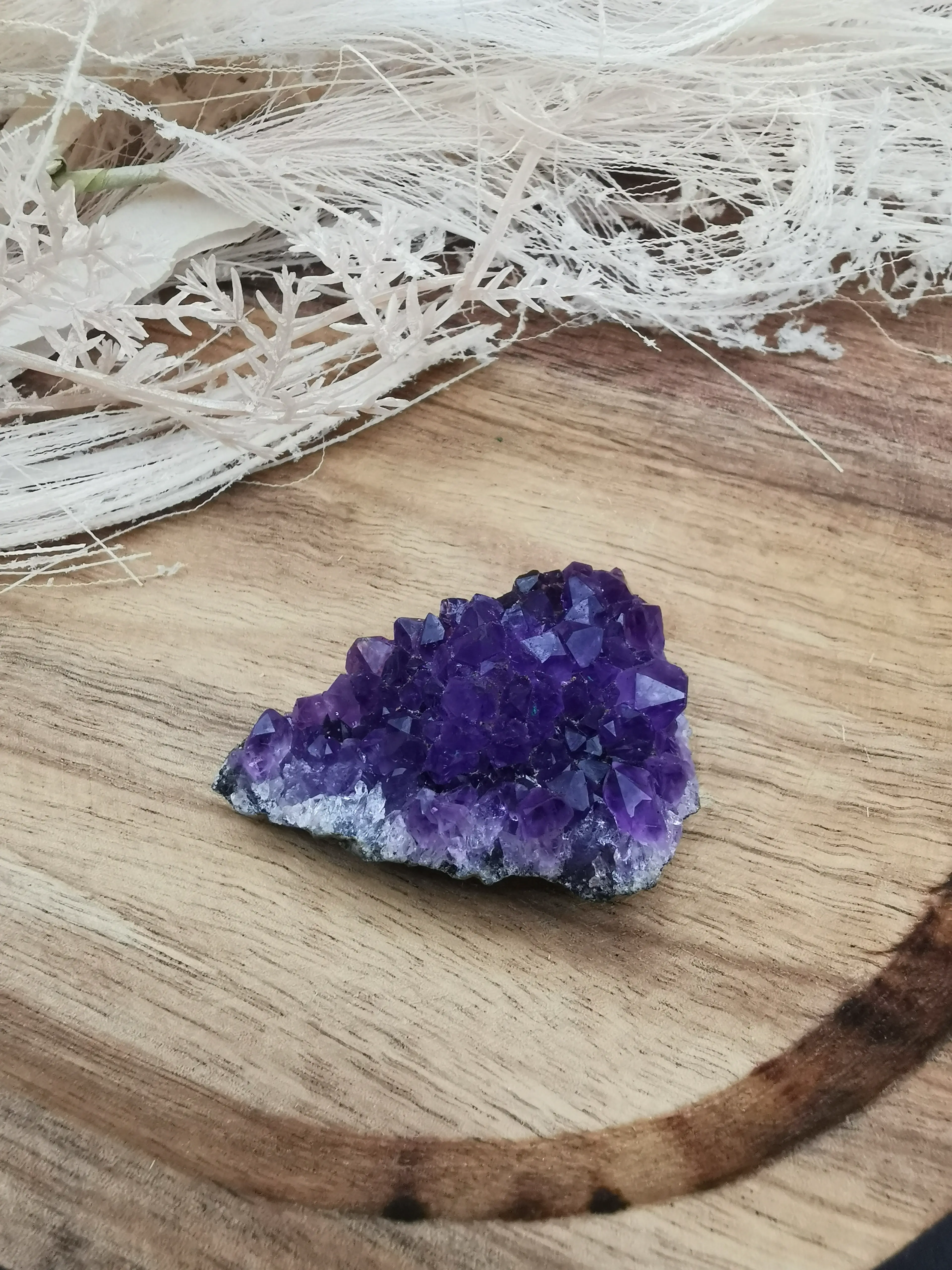 Amethyst Cluster | Gr. L